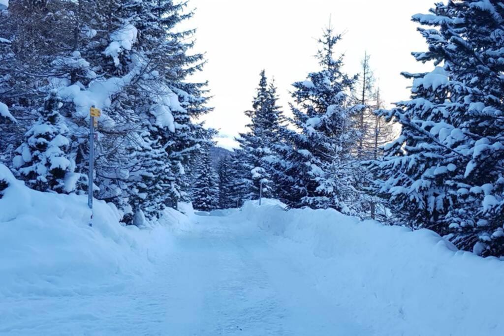 Chalet Wulli In Der Naehe Der Skianlagen سافونين المظهر الخارجي الصورة