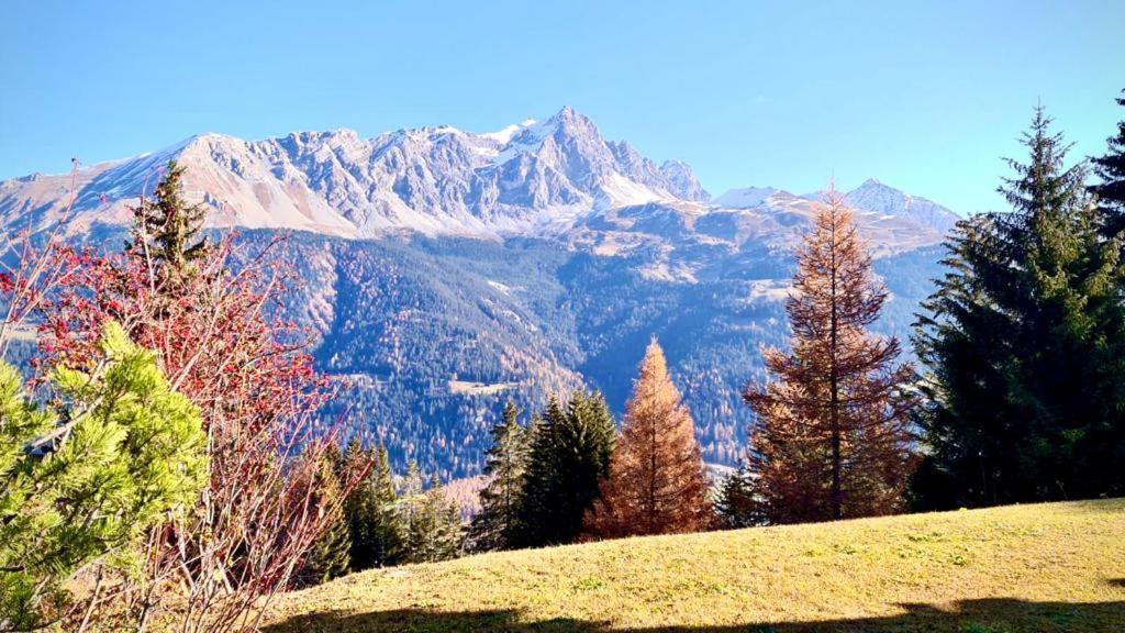 Chalet Wulli In Der Naehe Der Skianlagen سافونين المظهر الخارجي الصورة