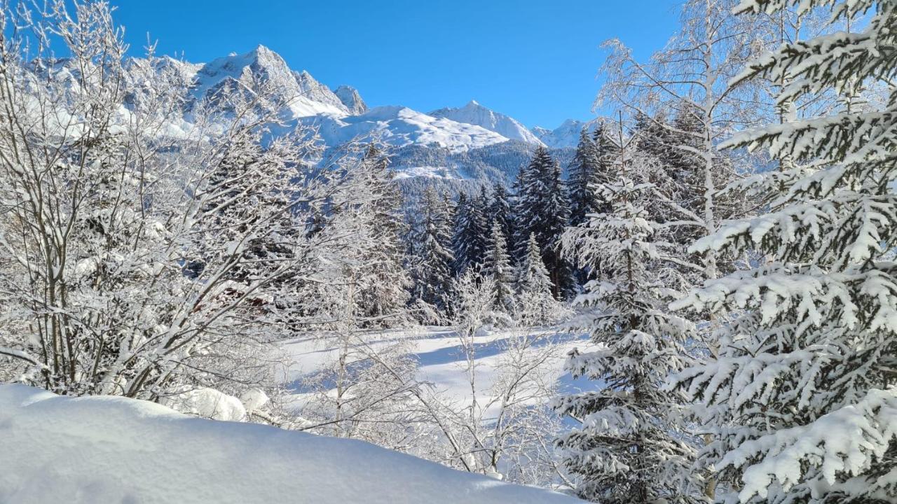 Chalet Wulli In Der Naehe Der Skianlagen سافونين المظهر الخارجي الصورة