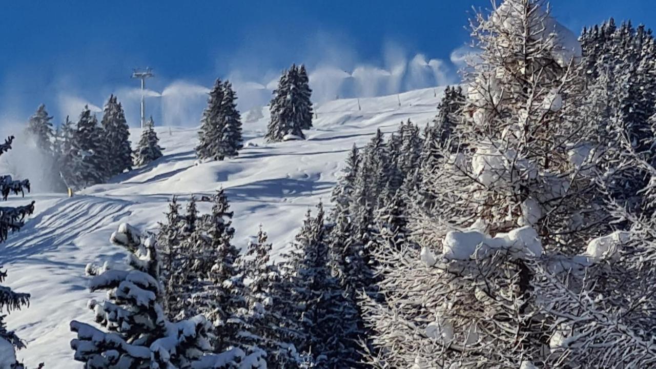 Chalet Wulli In Der Naehe Der Skianlagen سافونين المظهر الخارجي الصورة